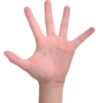 number-5-hand-finger